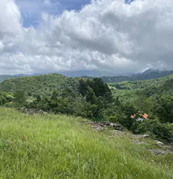 Foto annuncio 26