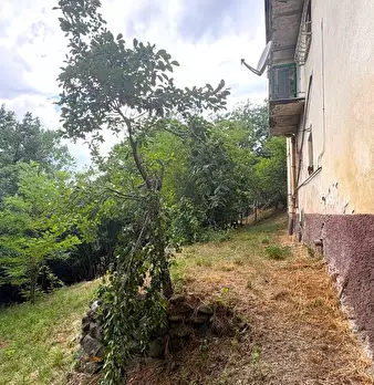 Foto annuncio 48