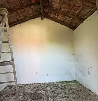 Foto annuncio 62