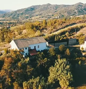 Foto annuncio 5