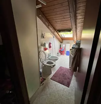 Foto annuncio 7