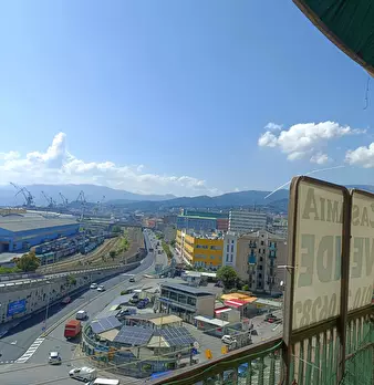 Foto annuncio 5