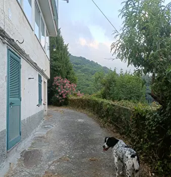 Foto annuncio 34