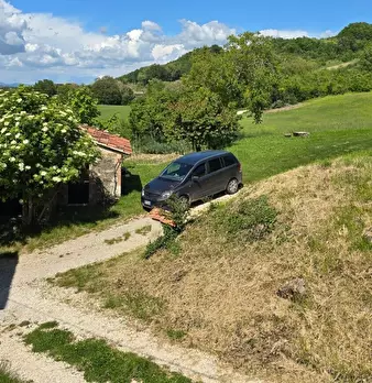 Foto annuncio 30