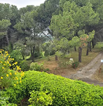 Foto annuncio 41