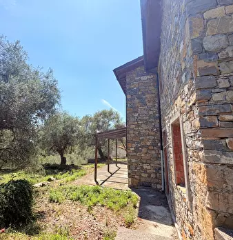 Foto annuncio 11