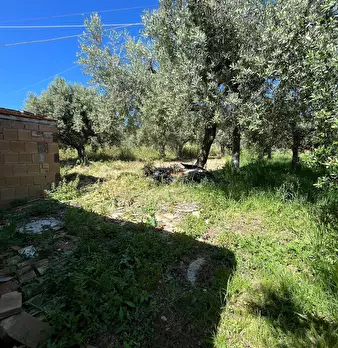 Foto annuncio 22