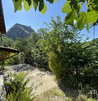 Foto annuncio 71