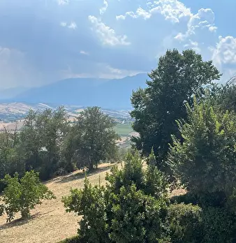 Foto annuncio 12
