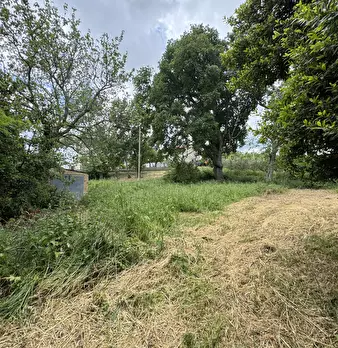 Foto annuncio 32