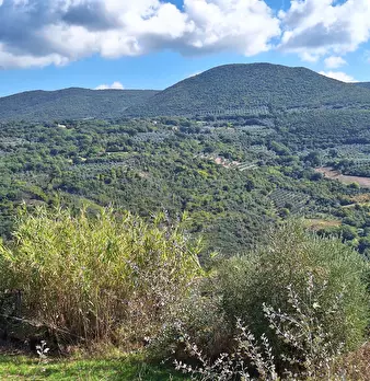 Foto annuncio 62