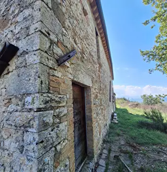 Foto annuncio 17
