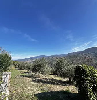 Foto annuncio 86