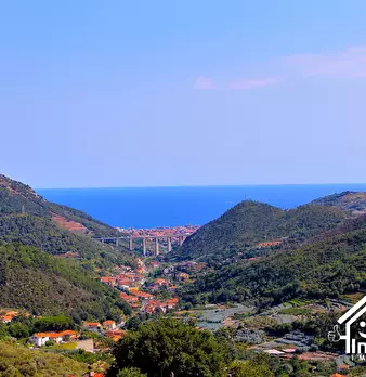 Foto annuncio 24
