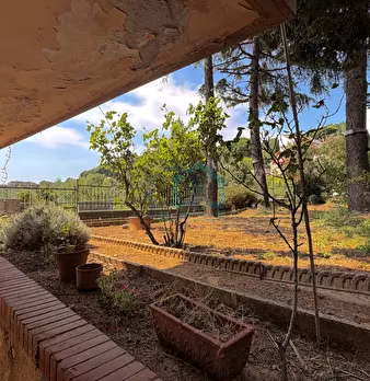 Foto annuncio 19