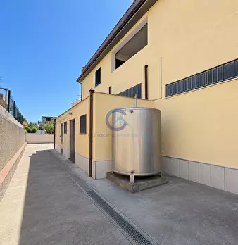 Foto annuncio 12