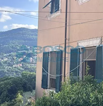 Foto annuncio 24