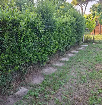 Foto annuncio 19