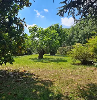 Foto annuncio 37