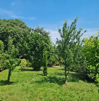 Foto annuncio 34