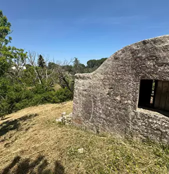 Foto annuncio 13