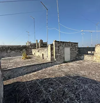 Foto annuncio 11