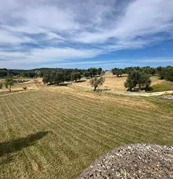 Foto annuncio 23