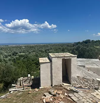 Foto annuncio 78