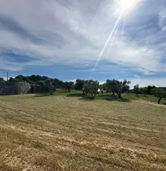 Foto annuncio 8