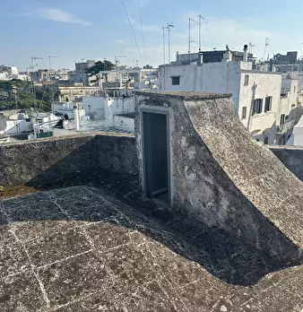 Foto annuncio 19