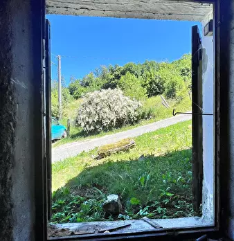 Foto annuncio 14