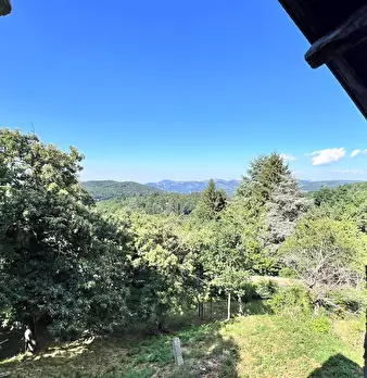Foto annuncio 44