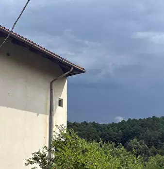 Foto annuncio 11