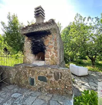 Foto annuncio 12