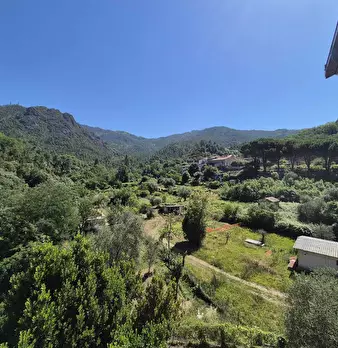 Foto annuncio 12