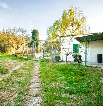Foto annuncio 2