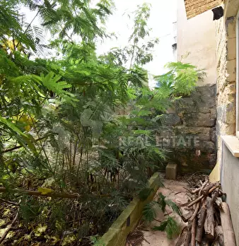 Foto annuncio 10