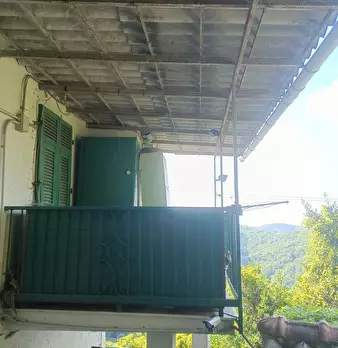 Foto annuncio 9