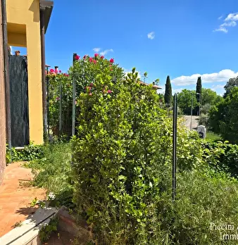 Foto annuncio 51