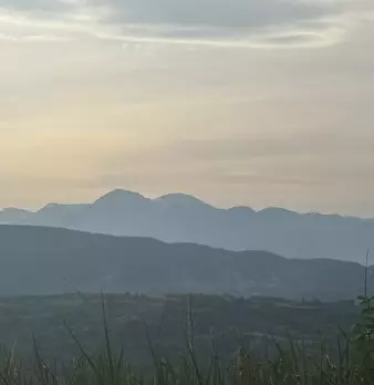 Foto annuncio 83