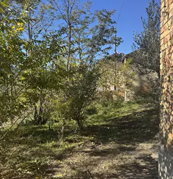 Foto annuncio 50
