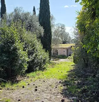 Foto annuncio 1
