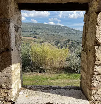 Foto annuncio 55