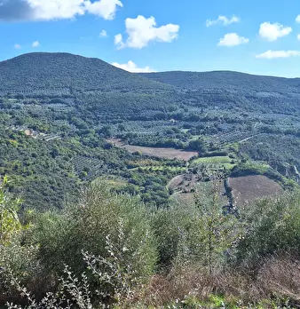 Foto annuncio 59