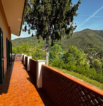 Foto annuncio 20