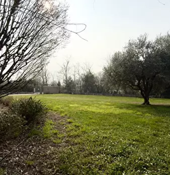 Foto annuncio 5