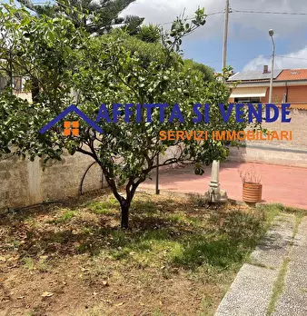 Foto annuncio 43