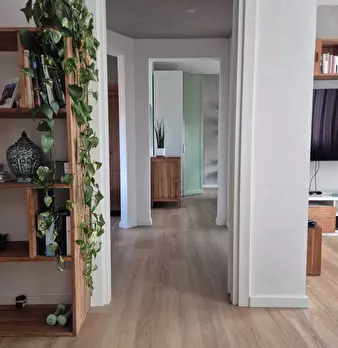 Foto annuncio 19