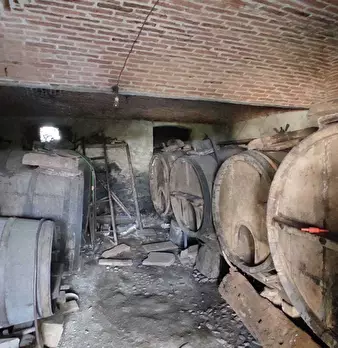 Foto annuncio 22