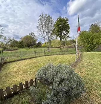 Foto annuncio 36